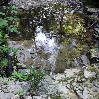 Img 20230707 163952